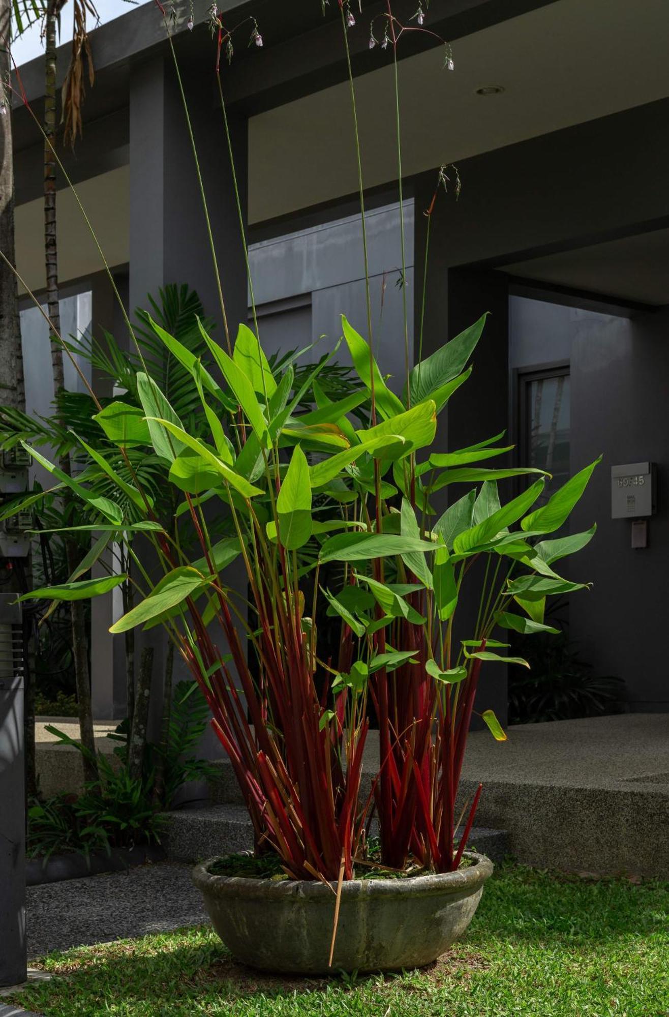 Villa Hanga| 3 Bedroom Private Pool | Onyx Villas By Tropiclook | Naiharn Beach Nai Harn Extérieur photo